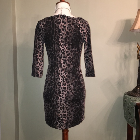 🍬🍬🍬Animal print dress from The Limited - Picture 2 of 3
